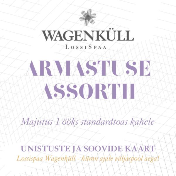 Armastuse assortii 1 ööks standardtoas