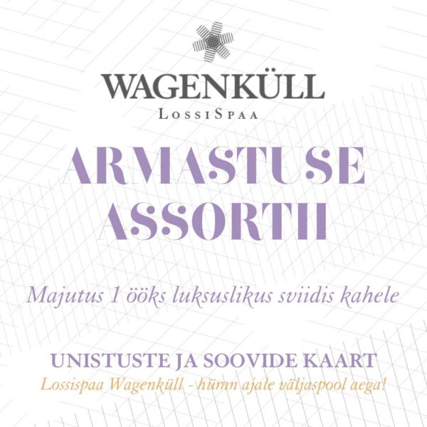 Armastuse assortii 1 ööks sviidis