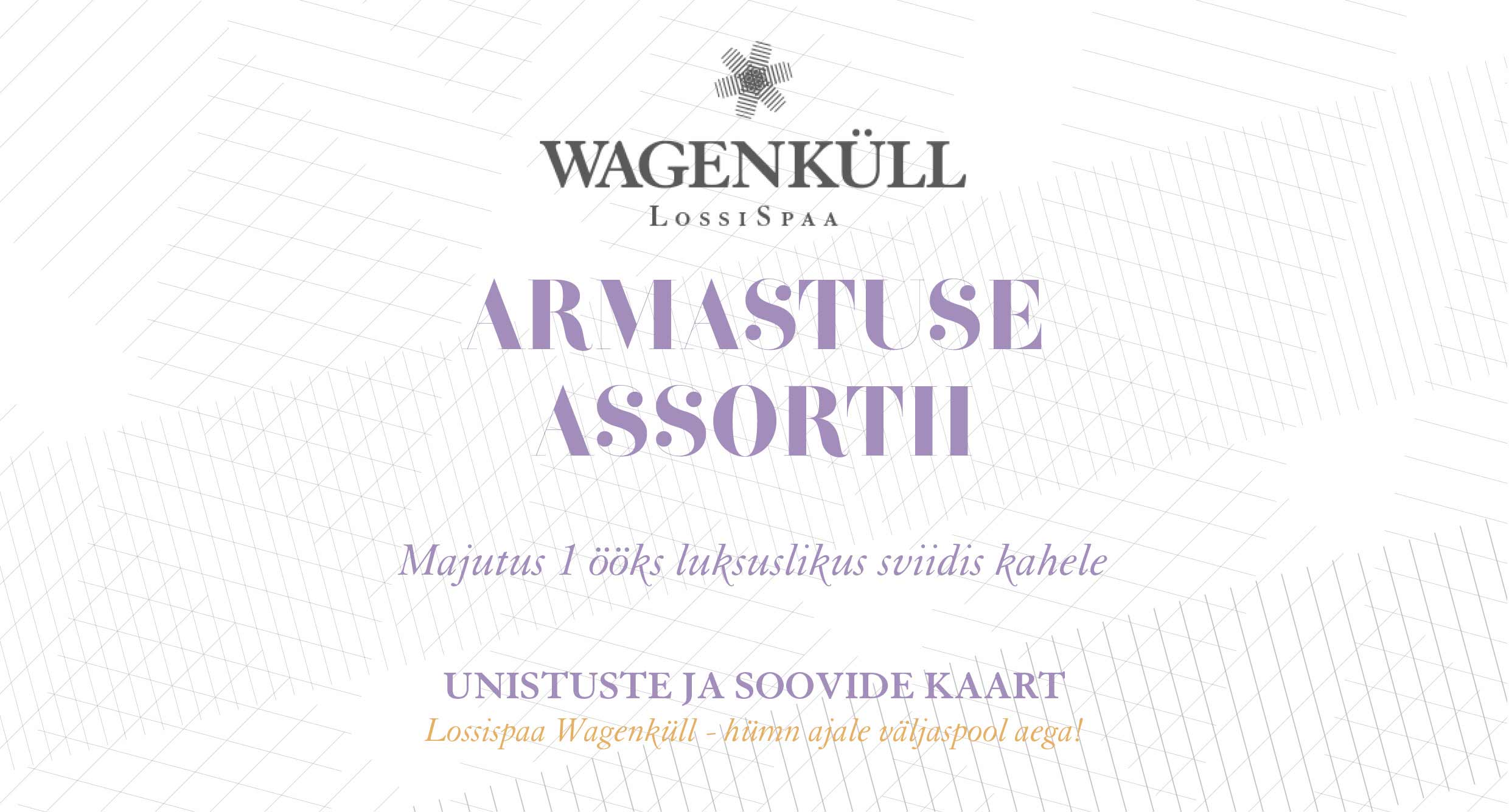 Armastuse assortii 1 ööks sviidis