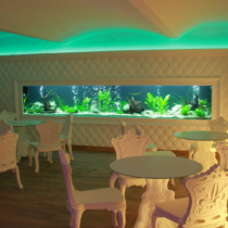 Castle_Spa-Wagenkull_sauna-center