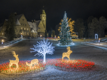 DJI_20251124180239_0100_D-HDR (1)