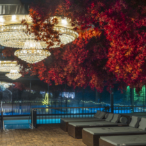 AAA07948-Enhanced-NR-scaled