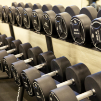 Wagenkull13.03.26_RiinNurk-bw00051