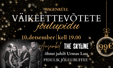 VÄIKEETTEVÕTETE (2)