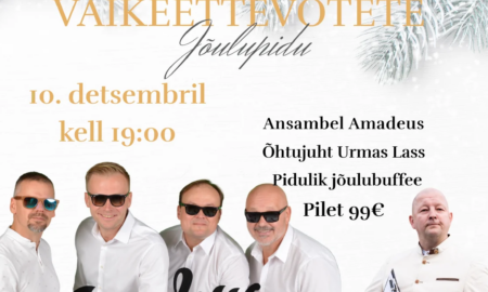 VAIKEETTEVOTETE-JOULUPIDU-740-x-740-px-1