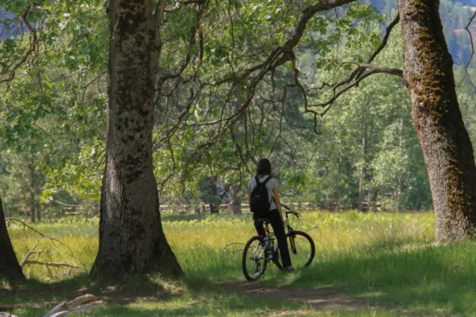 rent_bike_Wagenkull_Estonia (1)